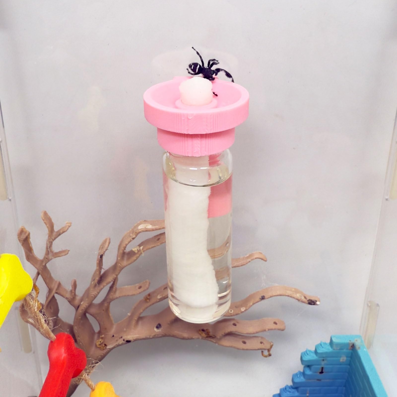Jumping Spider Water Dispenser, Magnetic Hanging Feeder,Suitable for Jumping Spiders,Tarantulas, Praying Mantises,Arboreal Animals, and Other Small Animal Enclosure Accessories (Pink, 15ML)