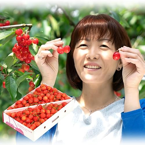 さくらんぼ佐藤錦 1kg」の人気商品一覧・価格比較 - 価格.com