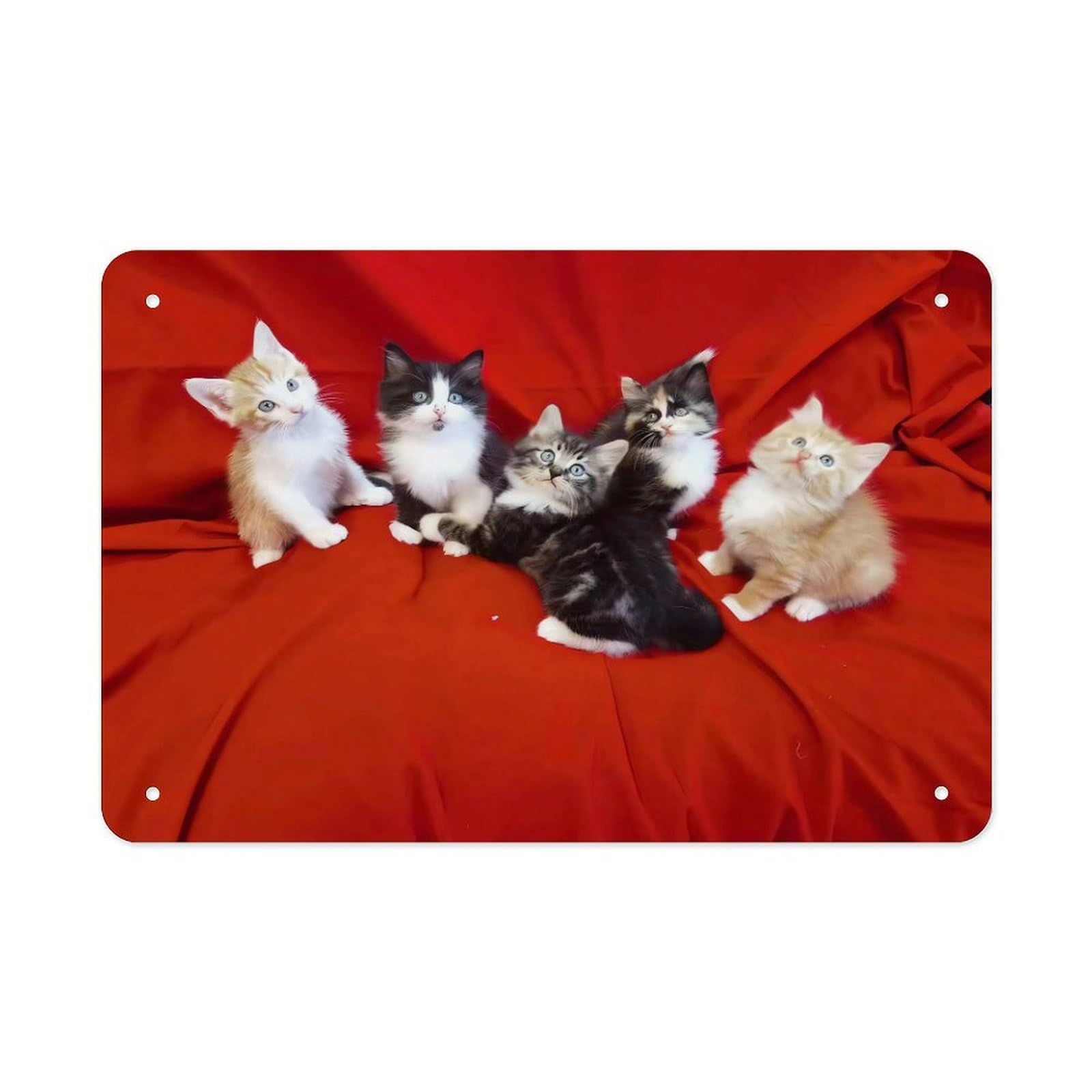 Cat Metal Tin Sign 12"x8" Wall Art Prints Poster Decorative Picture Metal Signboard Decor Painting Folded Edge Iron Sheet Painting with Holes for Wall Decor