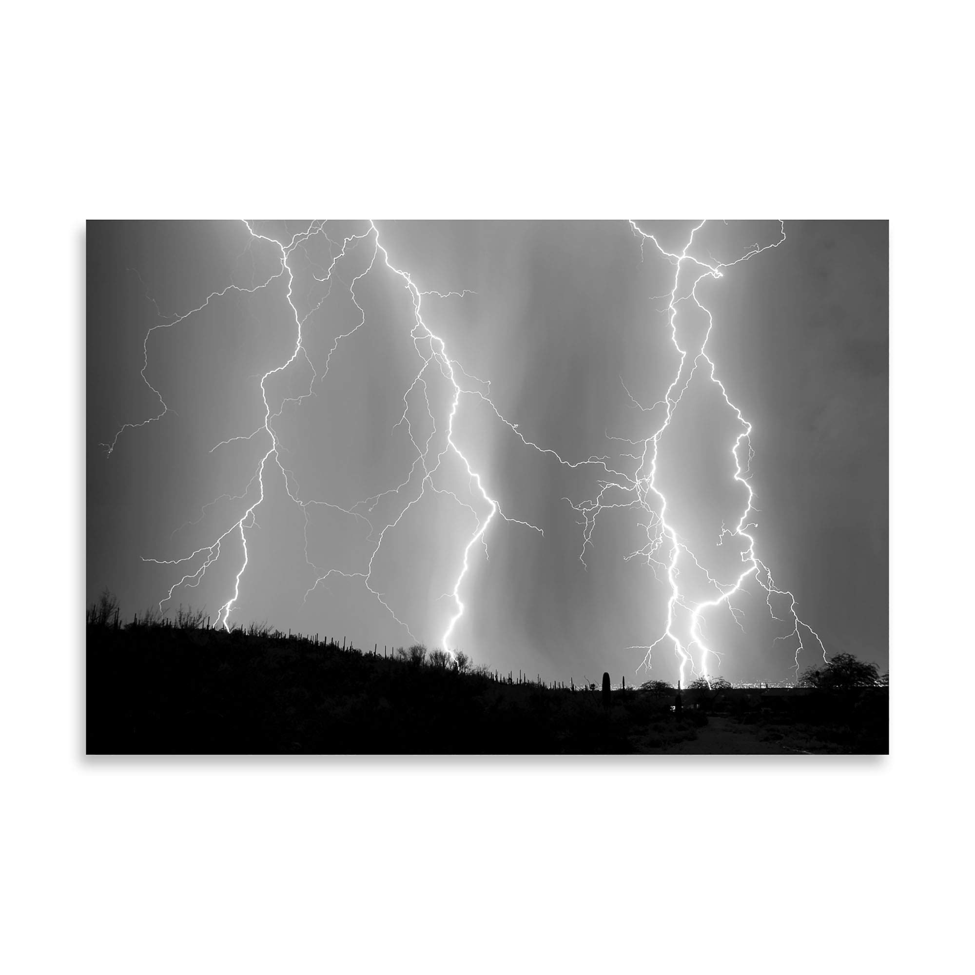 Gango Home D cor High Voltage BW Fine Art Photograph By Douglas Taylor One 36x24in Fine Art Paper