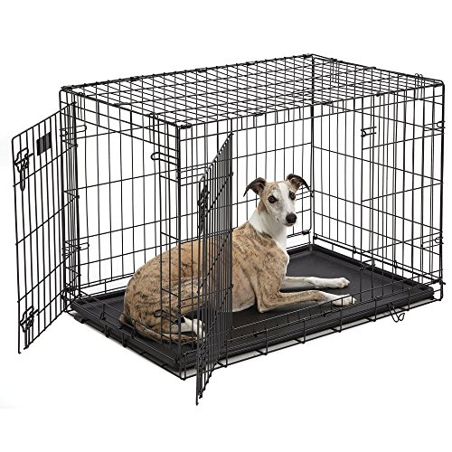 Midwest Icrate Double Door Dog Crate 36X23X25 #TOP26