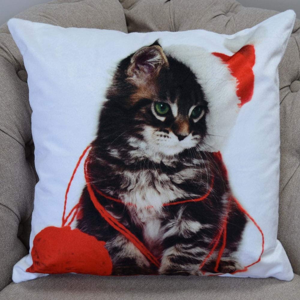 Rapport Home Photographic Kitten Cushion Cover Scatter Square Christmas Santa Hat W