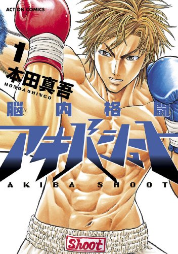 『脳内格闘アキバシュート』