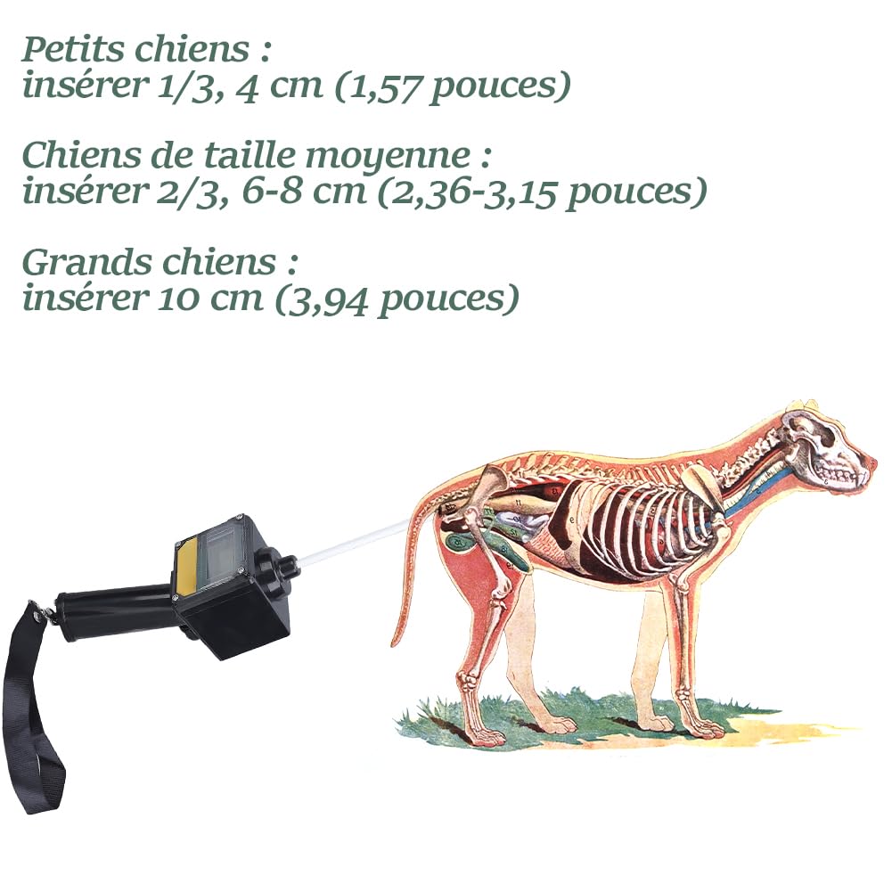 Tiiyee Détecteur D'ovulation de Chien, Détection Canine D'accouplement | Chiens de D'insémination Artificielle, Test de Progestérone pour Chiens à la Maison avec étui Portable et Instruct