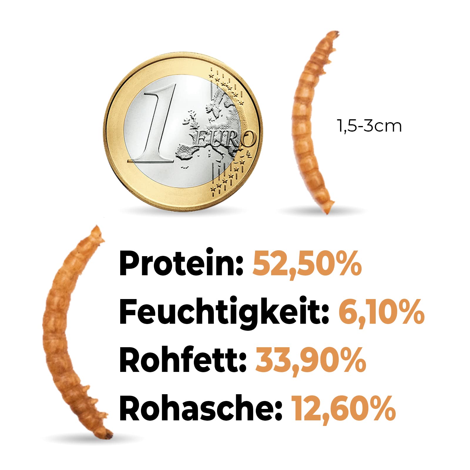 Mehlwürmer getrocknet, 2kg (entspricht 13 Litern) getrocknete Mehlwürmer, proteinreicher Snack für Wildvögel, Fische, Reptilien und Nager
