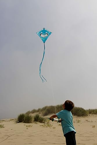 Miniatura 10 de In the Breeze Twisted Kite Line on Spool 500-feet