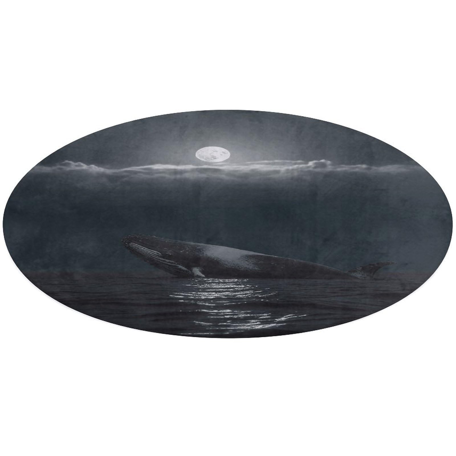 Tapis rond de porte extérieur paillasson entrée absorbant baleine
