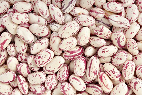 Hunza Organic Cranberry Beans (2 Lbs) #TOP2