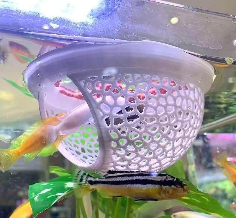 Cama flutuante para peixe Betta em PLA 3D Aquarium Choice Branco, Pacote com 2 (Grande e Pequeno)