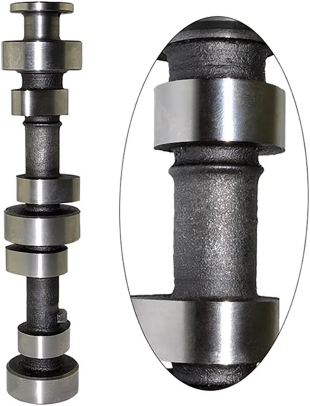 壁掛け 美濃焼 陶版画 陶版画 作家 所貞治さん 川崎千足さん ロバ ウマ