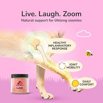 kin+kind Organic Turmeric Hip and Joint Supplement for Dogs and Cats Supports Healthy Joint Mobility and Inflammatory Response Vet Formulated 8 oz