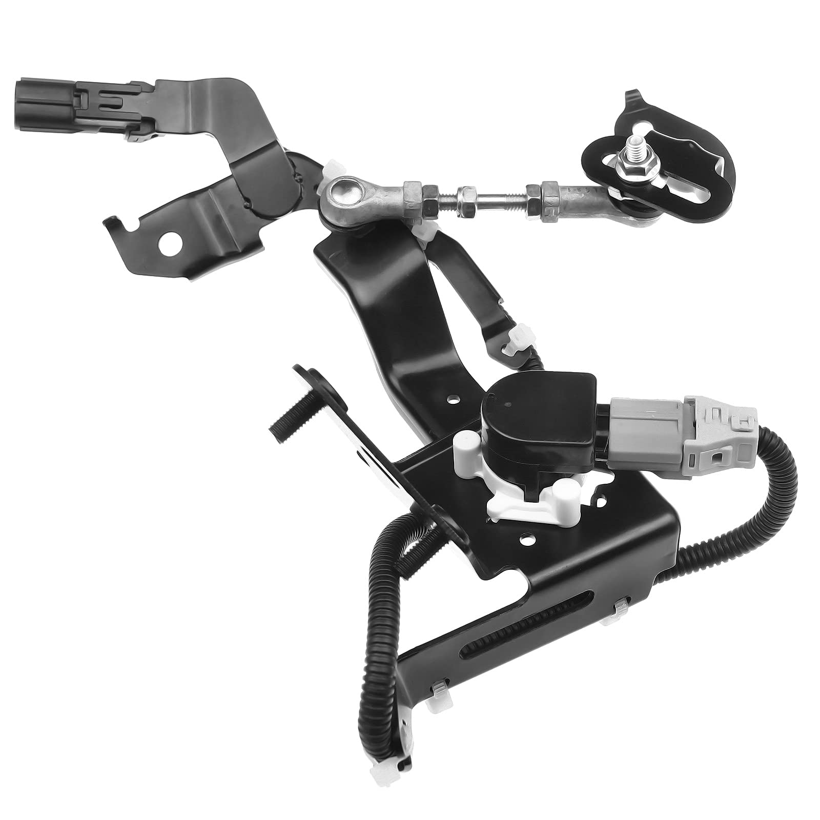 Rea C1 (Rea S1用) 公式】COACH – コーチ | ローラ キャリーオール