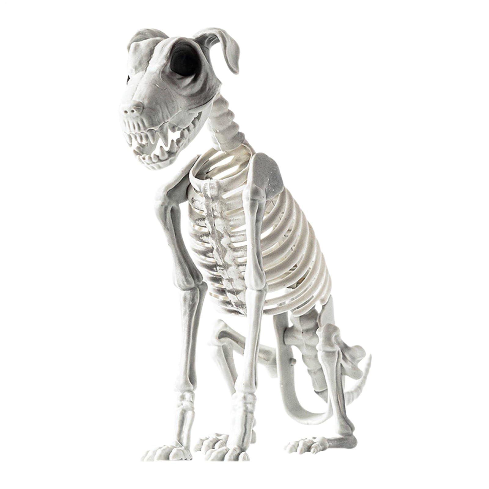 Squelette de chien Halloween articulé pour décorer le salon et la chambre