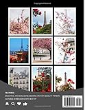 Zoom IMG-1 paris in bloom photography book