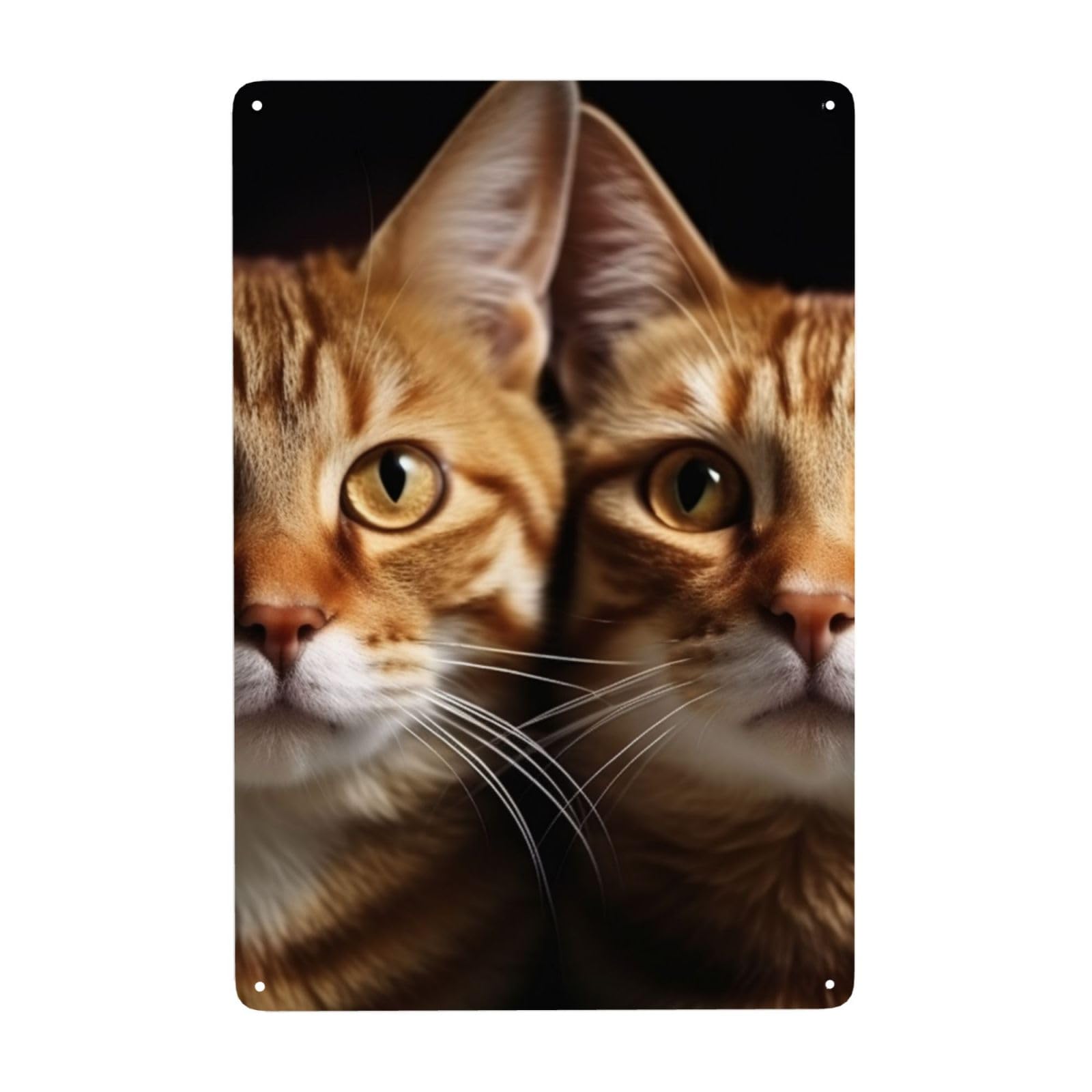 Fodpand White Vintage Tin Signs Metal Retro Wall Art Decor - Wall Hanging Decorative Plaque 8X12 Inch, Cats Metal Signs For Home Yoga Cafes, Funny Metal Poster For Gifts