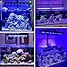 PopBloom Saltwater Aquarium LED Coral Lightt, 60W Timer Control Full Spectrum Marine Light for Saltwater Coral Reef Fish Tank (for 60x50x50cm Tank)