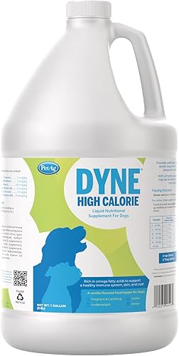 PetAg Dyne Suplemento nutricional líquido alto en calorías para perros y cachorros proporciona energía vitaminas y nutrición adicional para mascotas PetAg Dyne Suplemento nutricional líquido alto en calorías para perros y cachorros proporciona energía vitaminas y nutrición adicional para mascotas