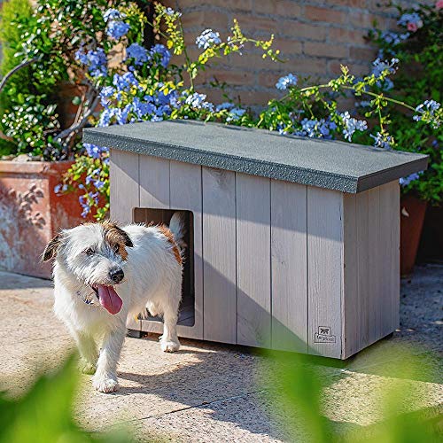 Ferplast Hundehütte kleine Hunde ARGO 60 aus FSC-Holz, Hundehaus Outdoor Wetterfest, Isolierende Kunststofffüße, 70 x 55 x h 52 cm.