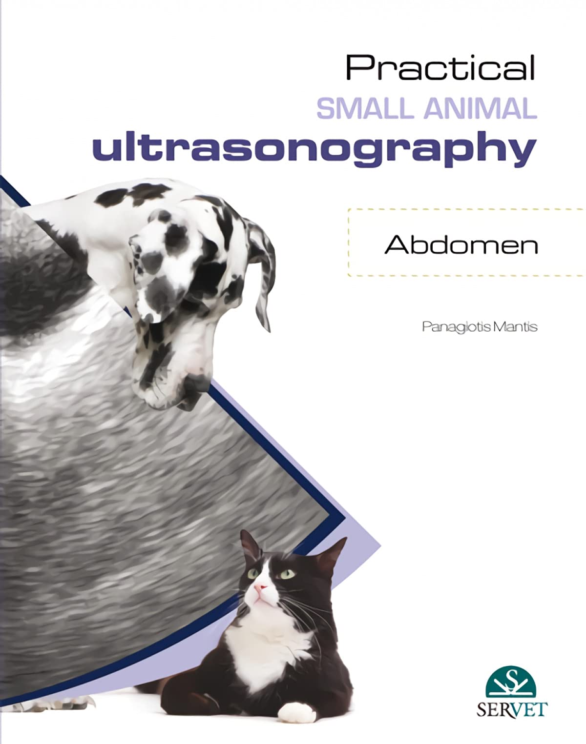 Practical Small Animal Ultrasonography - Abdomen: Amazon.co.uk