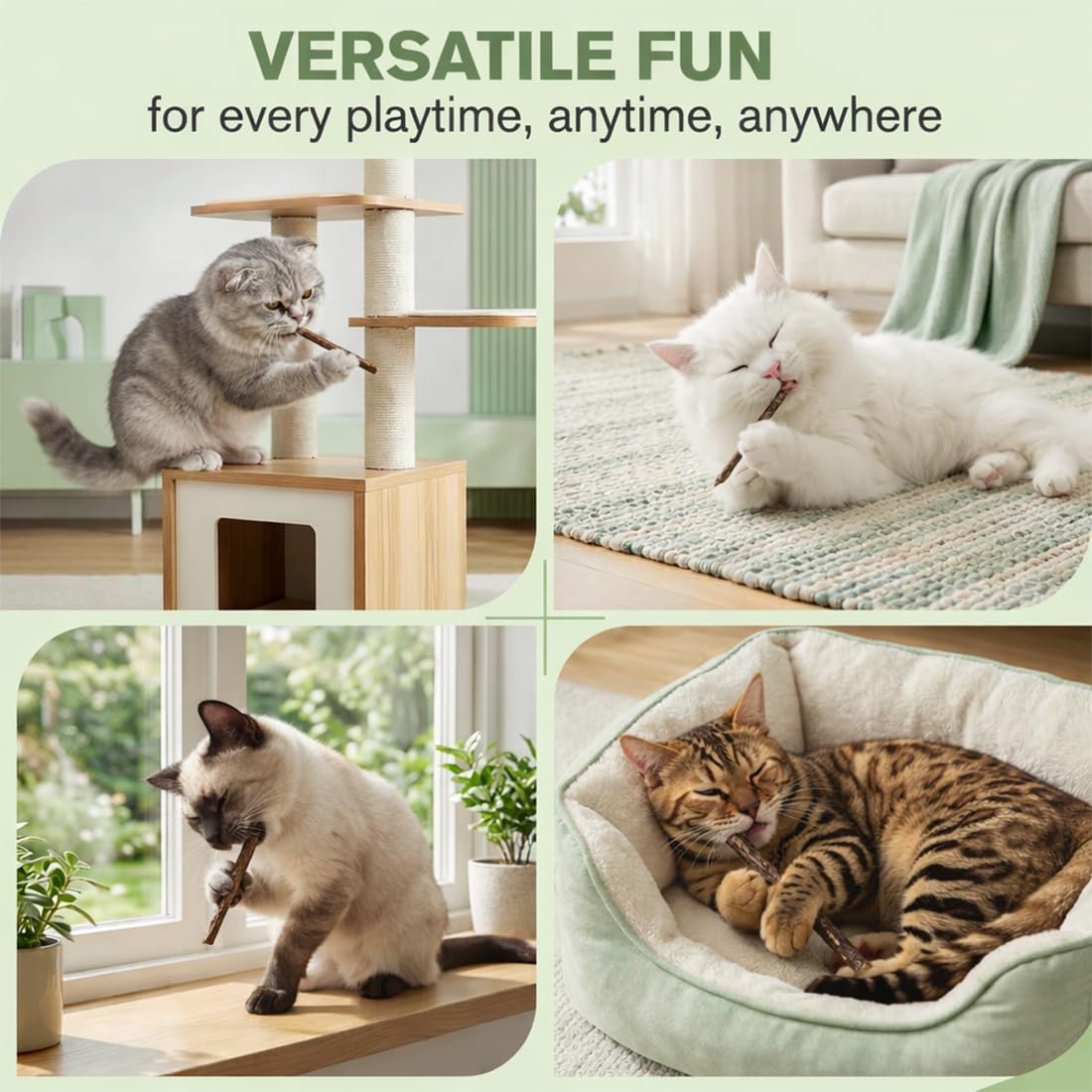 20 Bâtonnets Dentaires Pour Chats, Bâtonnets À Mâcher En Bois, Jouet Pour L'Hygiène Dentaire Des Chats, Jouet De Chat Autodivertissant, Taille 0.6cm, Marron