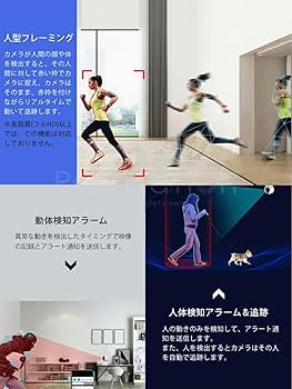 Amazon.co.jp: 「C46S.A」防犯カメラ 屋内用 1296p 300万画素 AI
