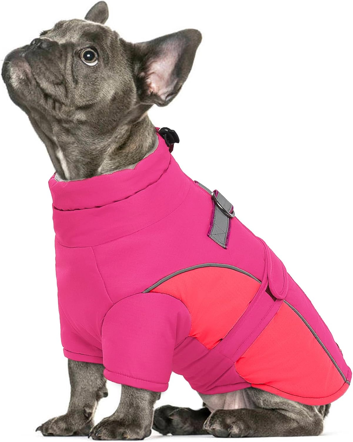 ROZKITCH Extra Warm Dog Coat Reflective Adjustable Dog