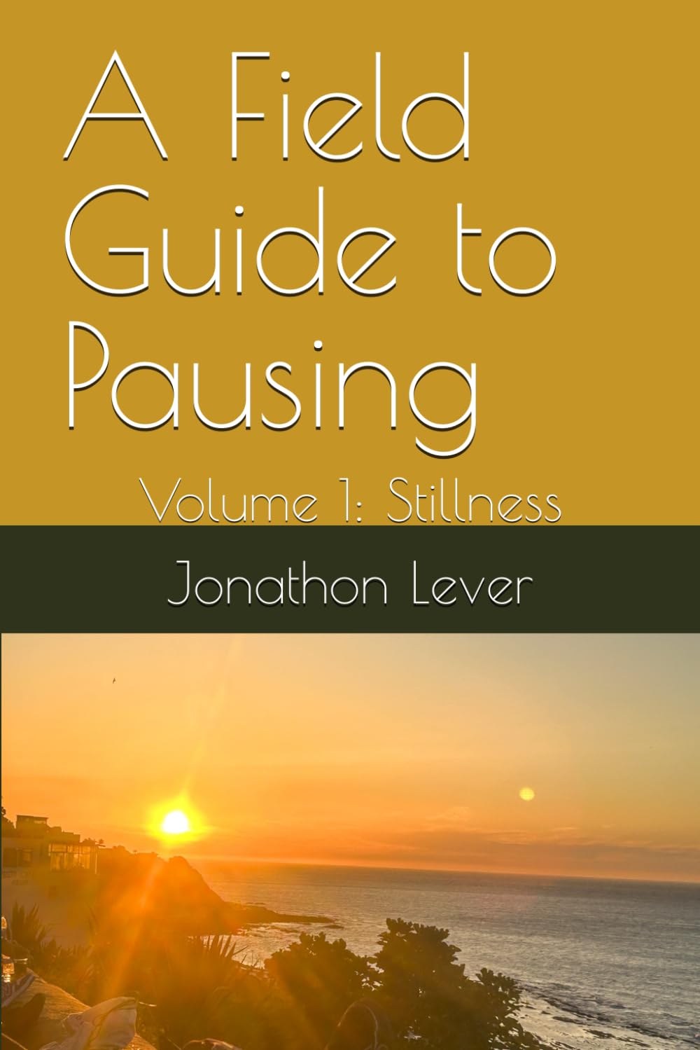 A Field Guide to Pausing: Volume 1: Stillness