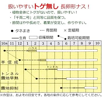 Amazon.co.jp: なす とげなし 千両二号 茄子 10.5cmポット苗