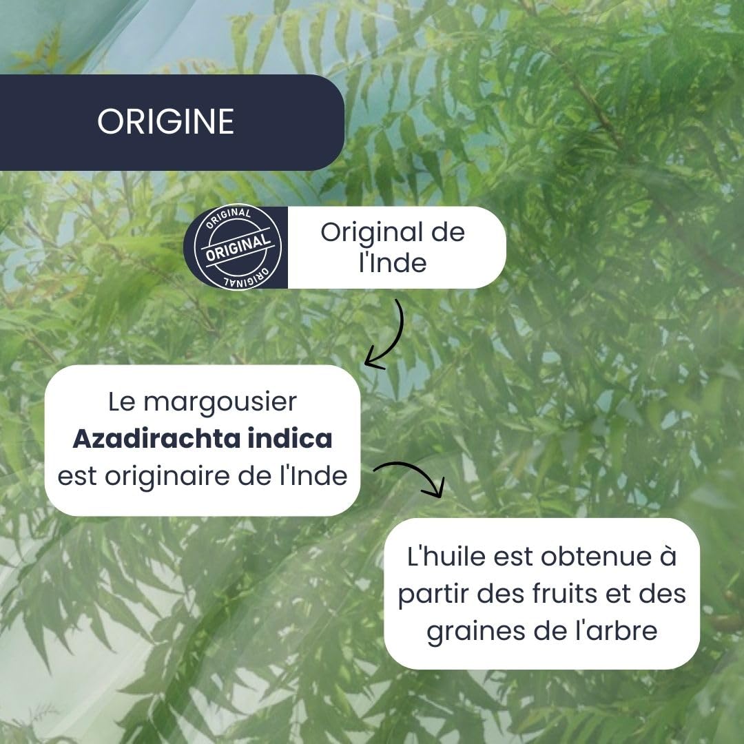 PLANTAWA Huile de Neem 500ml | Ingrédient Naturel à Diluer | Pressée à Froid | Usage Polyvalent | Sans Additifs ni Parfum | Pour Formulations Domestiques Personnalisées