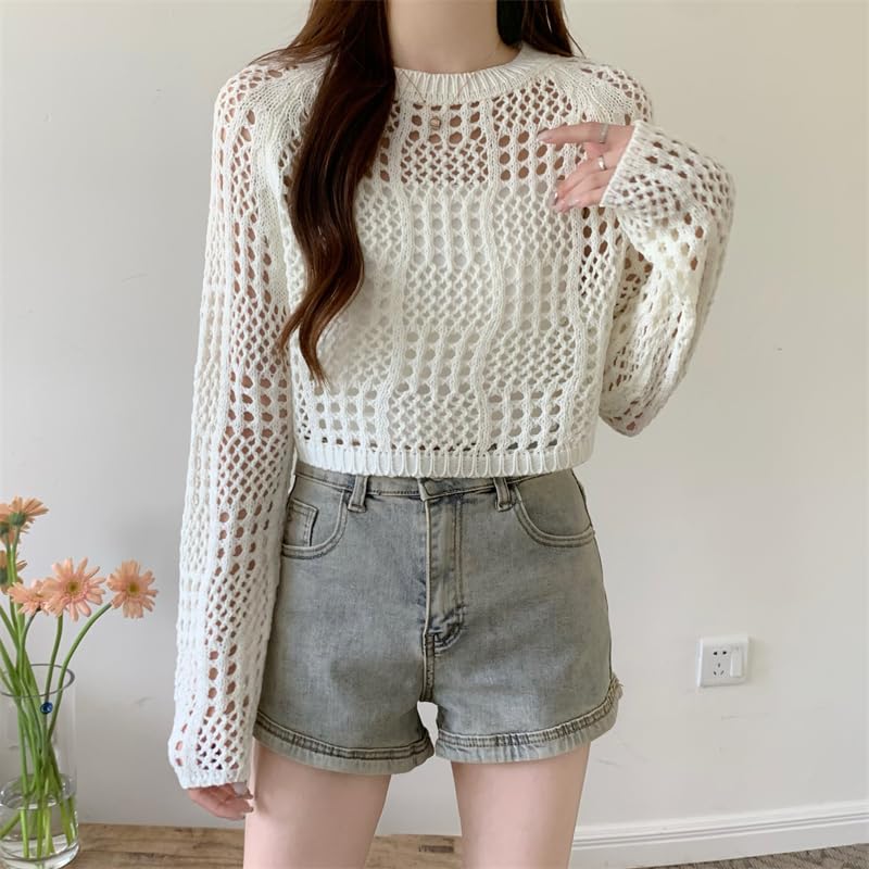 Image of ICW Women's Knitted Crochet Transparent Long-Sleeve Hollow Out Sheer Pullover Top T-Shirt Sweater Dn61 (One Size Fit XS-S-M-L)