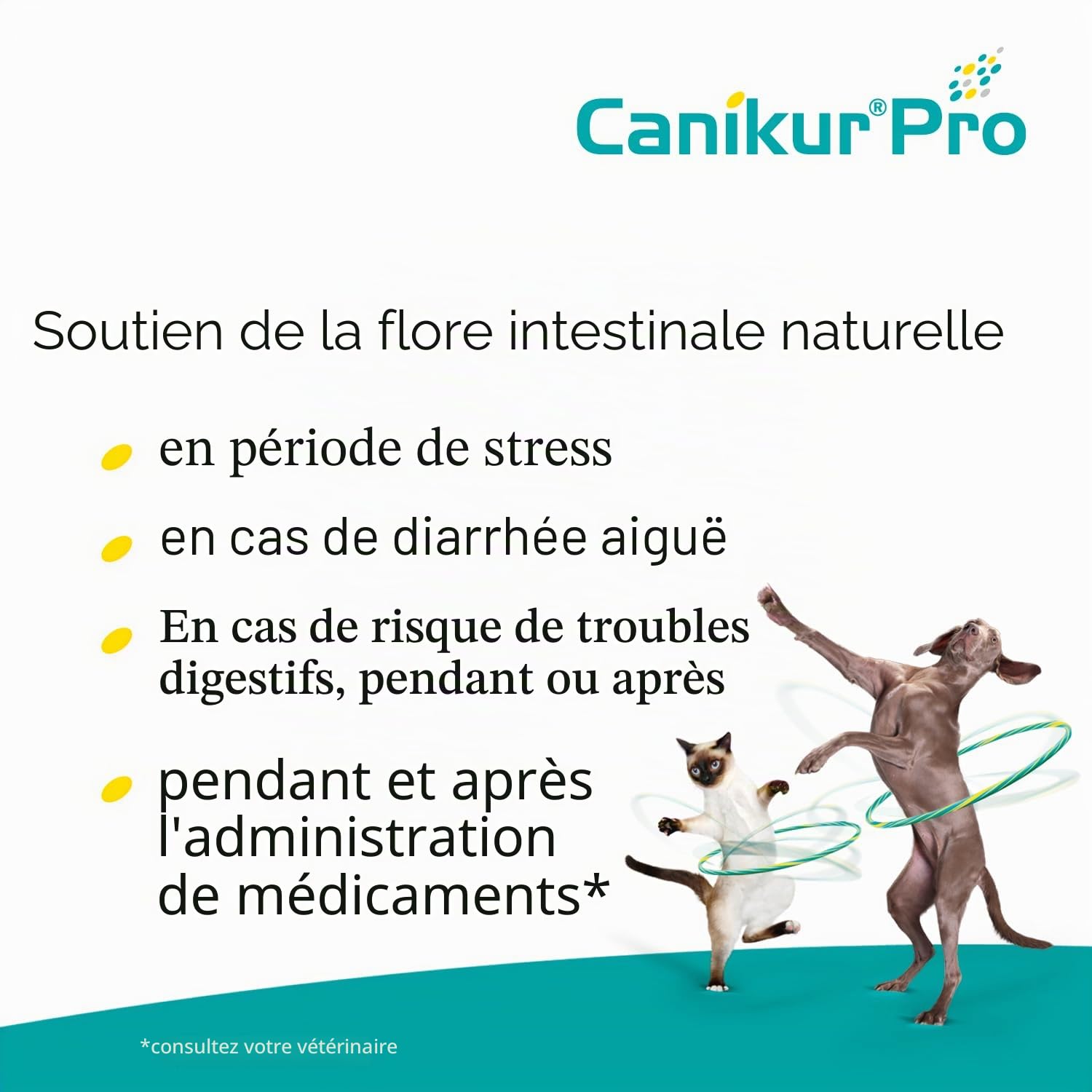 Canikur Pro Seringue à pâte Transparent 60 ML