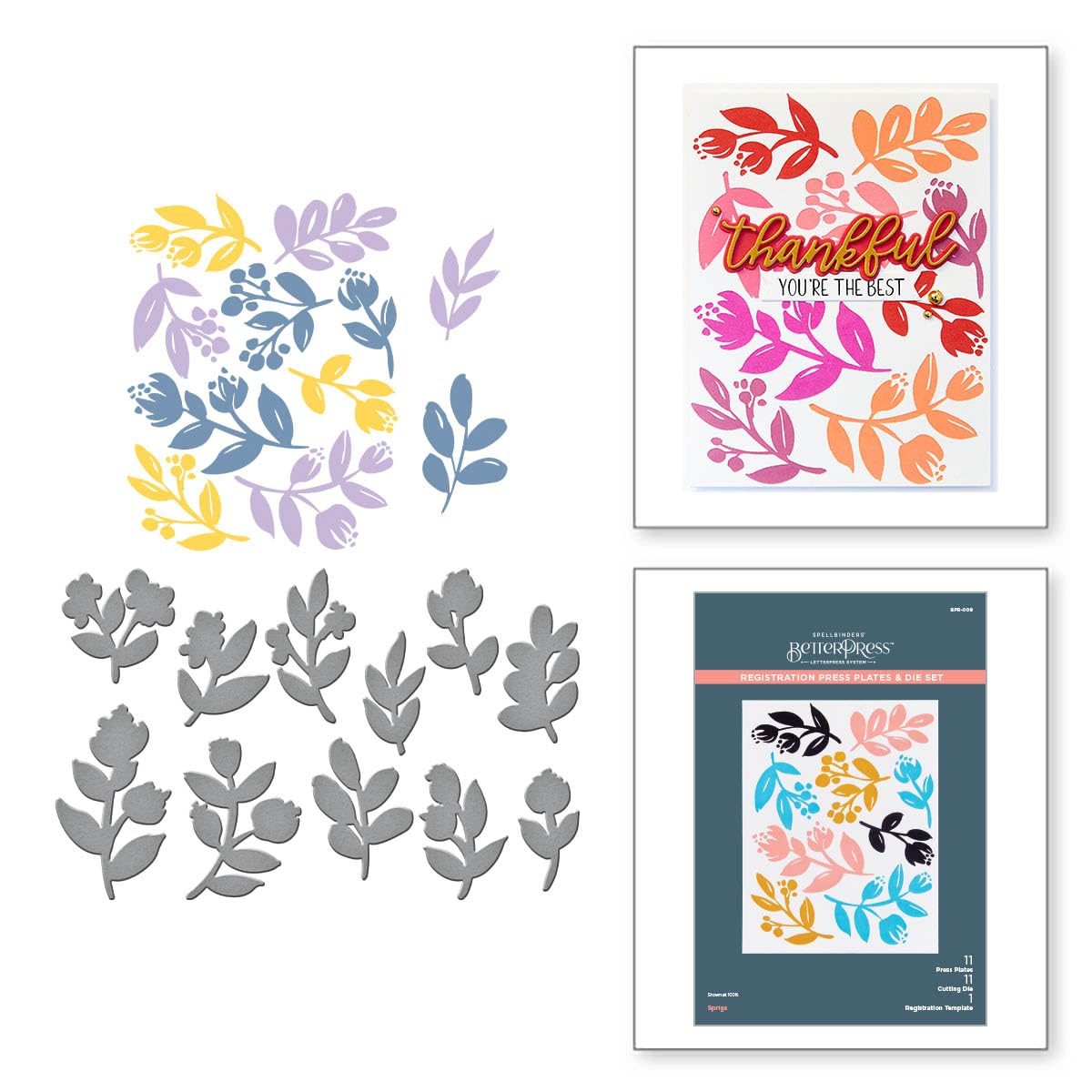 Spellbinders BPR-009 Sprigs Registration Press Plate & Die Set from The Cheers to You Collection, Metal - Image 2