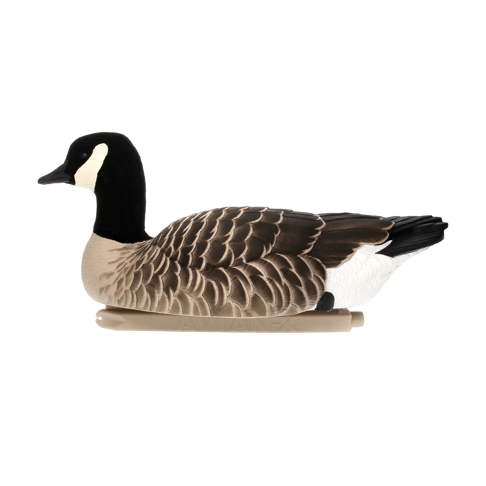 Avian-X Topflight Lessers Floating Goose Hunting Decoys with True to Life Postures for Hunting Purposes, Outdoor Sports, and Recreation