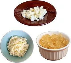 Kefir de Água, Leite e Côco Com Manual Completo 100% Natural Puro Kefir