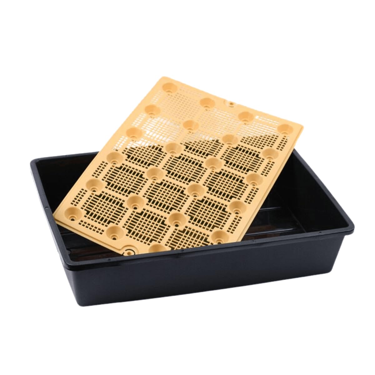 BeGrit Lot de 10 plateaux de démarrage de semis en plastique durable de 33 x 43,2 cm de profondeur, parfaits pour l'intérieur, l'extérieur, les serres
