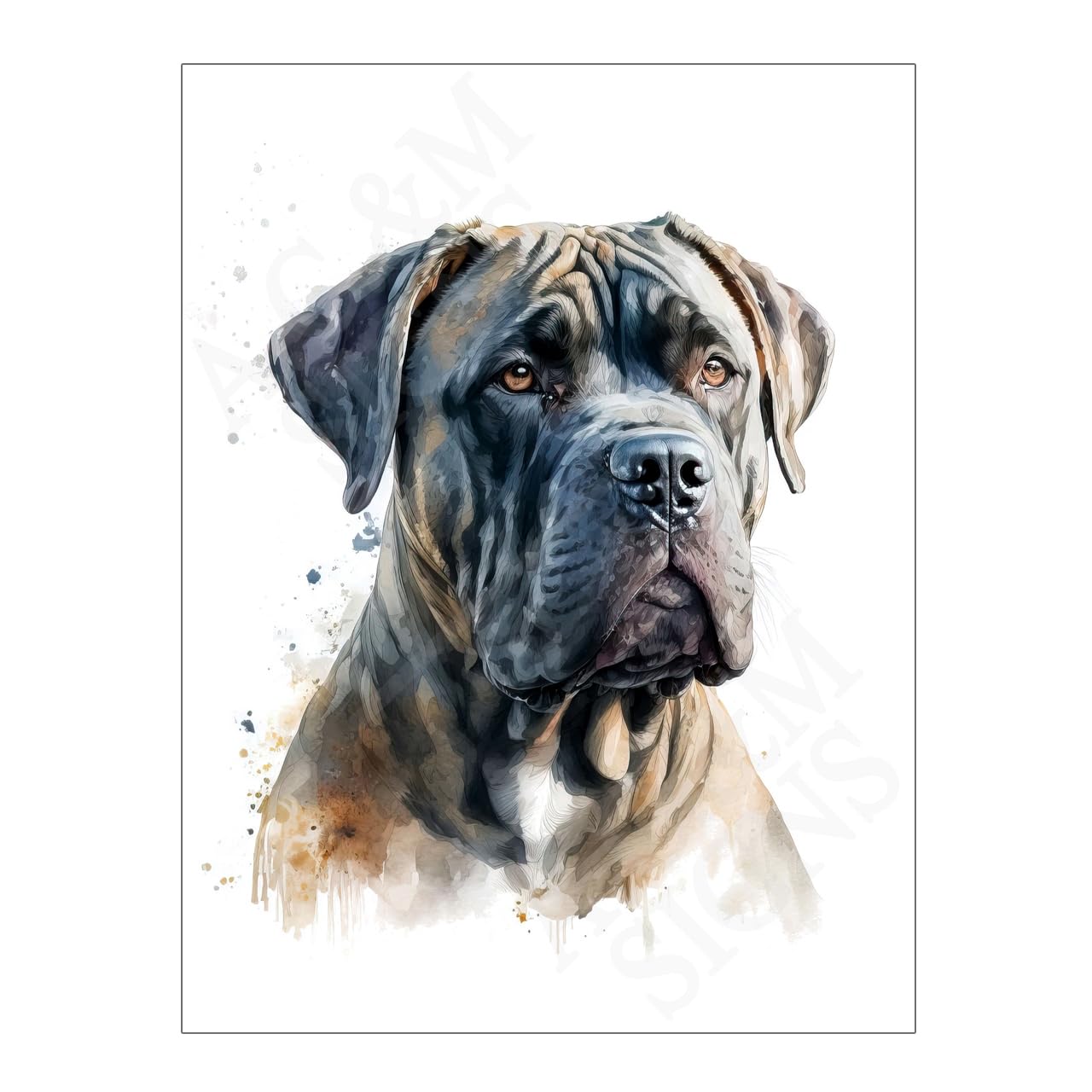 Cane Corso Dog Wall Art Metal Print Picture Plaque 10.6x8 15791