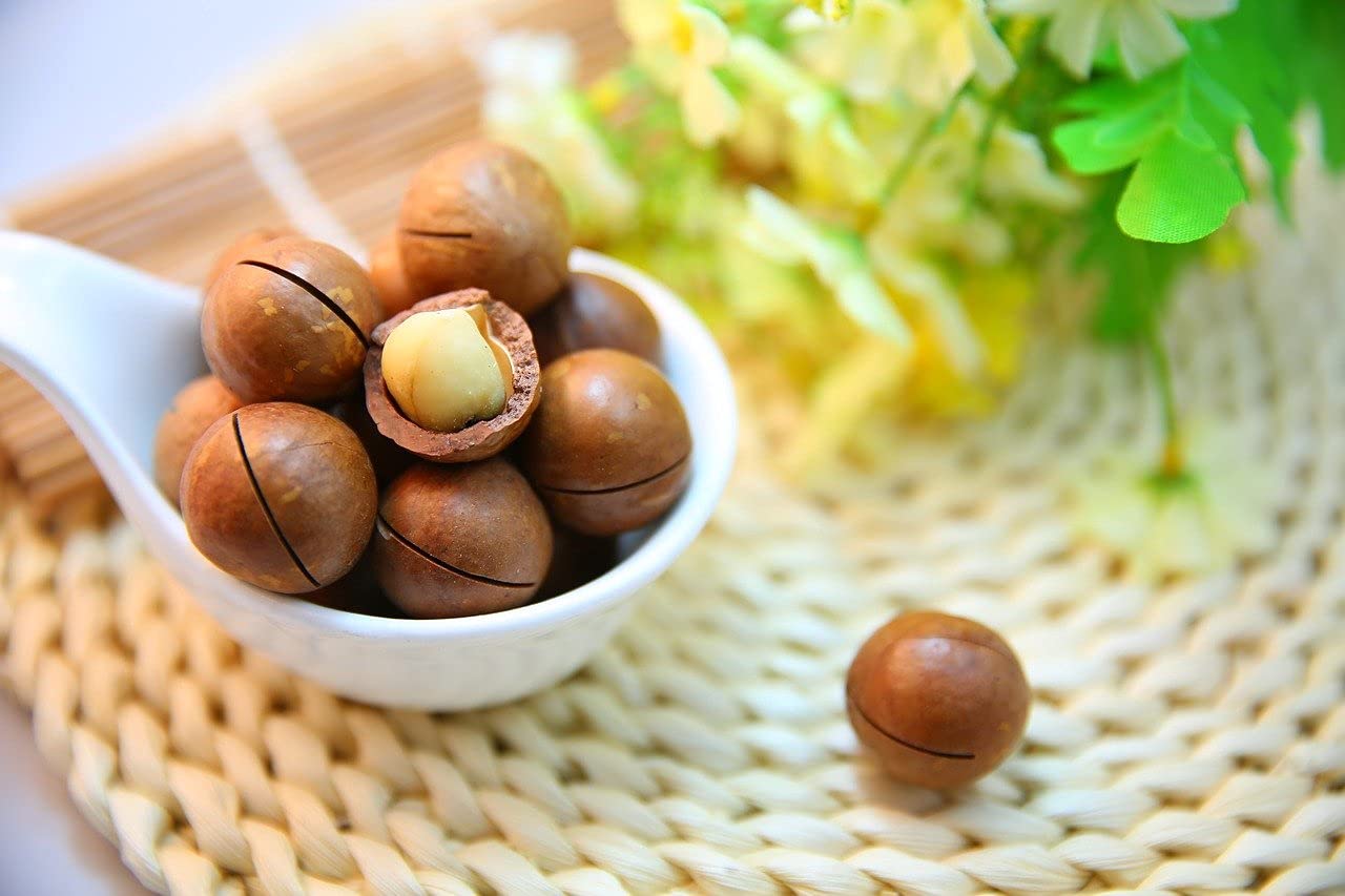1kg di noci di macadamia BIO naturali - noci di macadamia intere senza buccia di classe 1l, non trattate