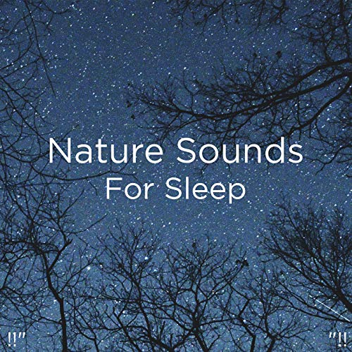 Amazon Music - Nature Sounds Nature Music & Nature Soundsの!!" Nature ...