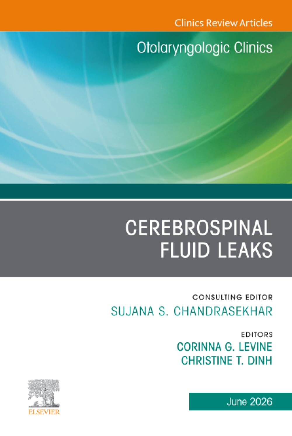 Cerebrospinal Fluid Leaks, An Issue of Otolaryngologic Clinics of North America: Volume 59-3 (The Clinics: Surgery, Volume 59-3)