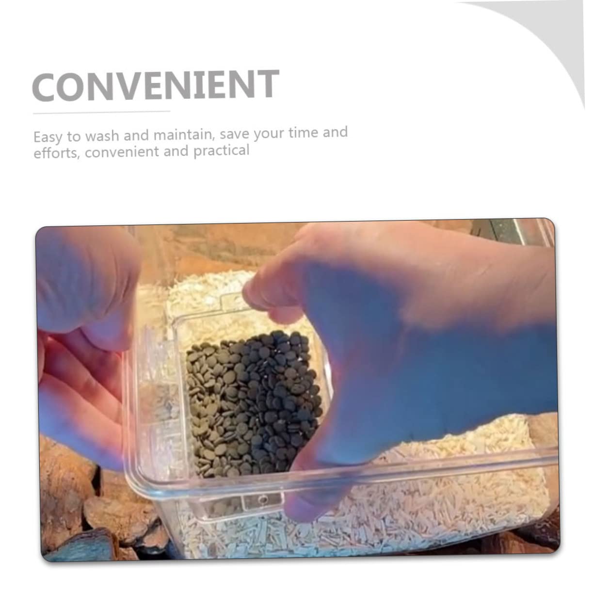 2 Mangiatoie Per Rettili Con Ventosa - Ciotola Trasparente Per Insetti E Acqua, Per Gechi E Lucertole - Foto 2