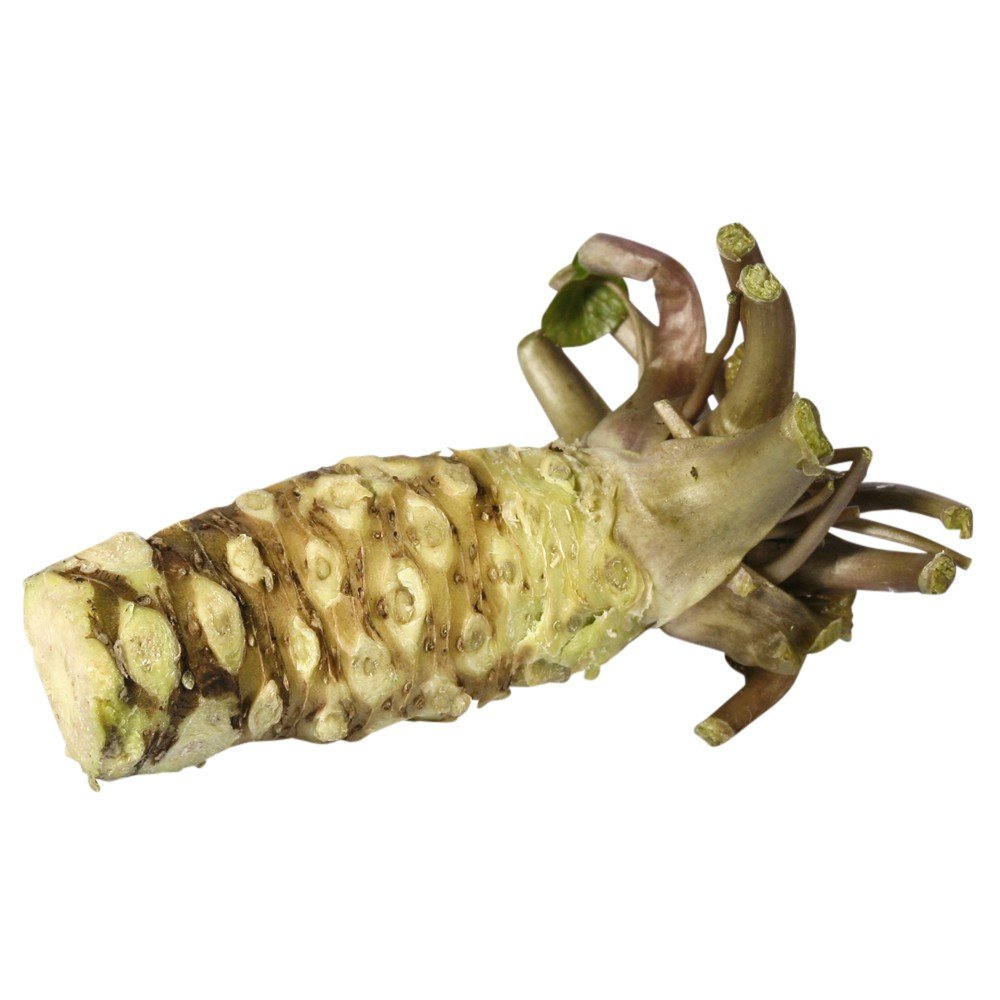 Buy Fresh Wasabi Root 75g Online at desertcartIreland