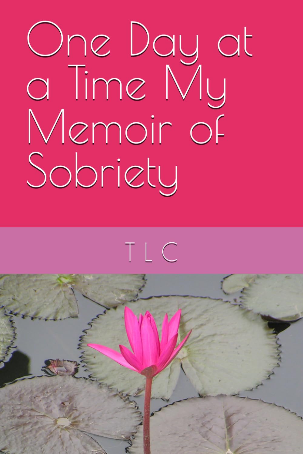 One Day at a Time My Memoir of Sobriety