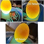 Review Image by Ashley Ashley