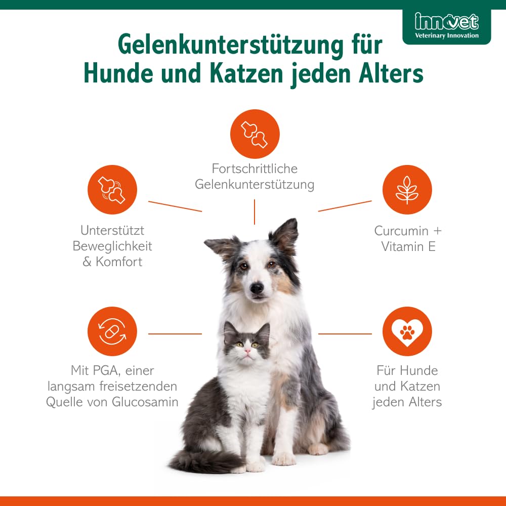 Glupacur Gelenktabletten für Hunde und Katzen jeden Alters, 200 Gelenktabletten Hund mit PGA (Glucosamin), Curcumin & Vitamin E, Gelenk Komplex für Katzen für Beweglichkeit und Lebensqualität
