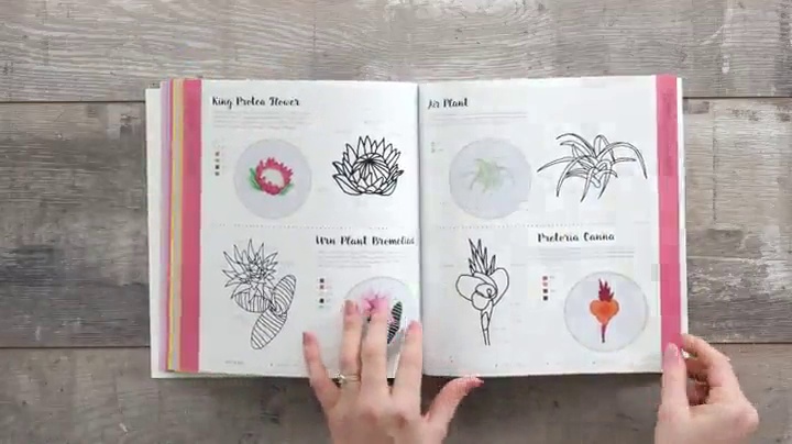 Image of 200 Embroidered Flowers: Hand Embroidery Stitches and Projects for Flowers, Leaves and Foliage