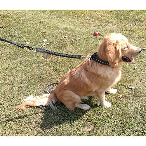 Ruckdämpfer für Hunde Leine Yangbaga Elastische Hundeleine Nylon-Kurzleine Perfekte Dämpfung beim Fahrrad für Hunde ab Mittlerer Größe (2.5 * 42cm) Schwarz