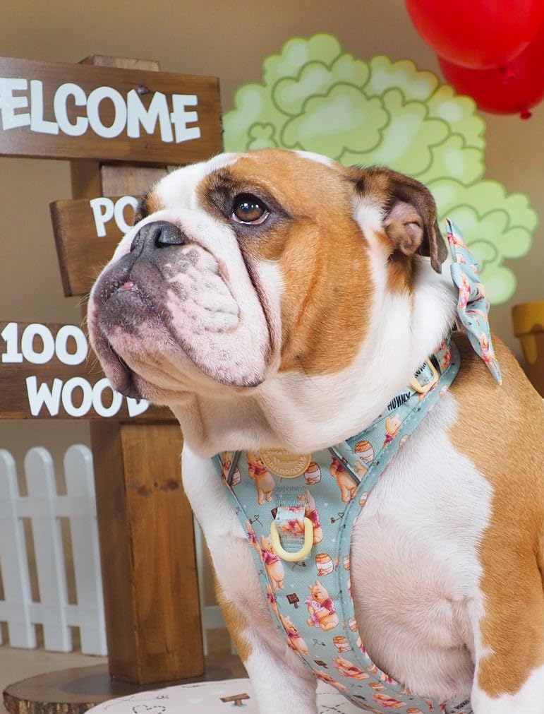 Pawsome Paws Boutique Pettorina per cani Winnie the Pooh, extra piccola, resistente, design Disney, regolabile, anti-tiro, con finiture riflettenti e fibbia robusta