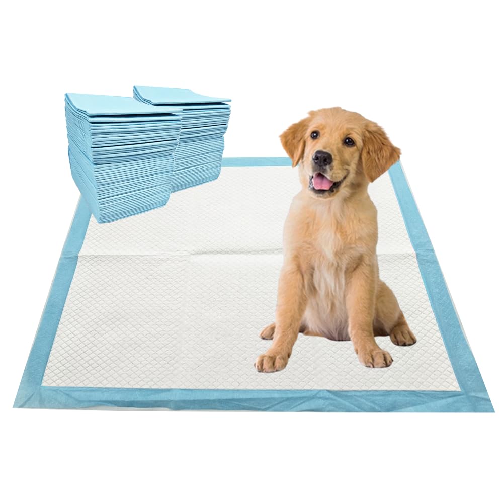 3Q Almohadillas para cachorros, 100 unidades de 22 x 22 pulgadas, almohadillas de entrenamiento para mascotas para perros, almohadillas de absorción rápida a prueba de fugas, almohadillas para orina