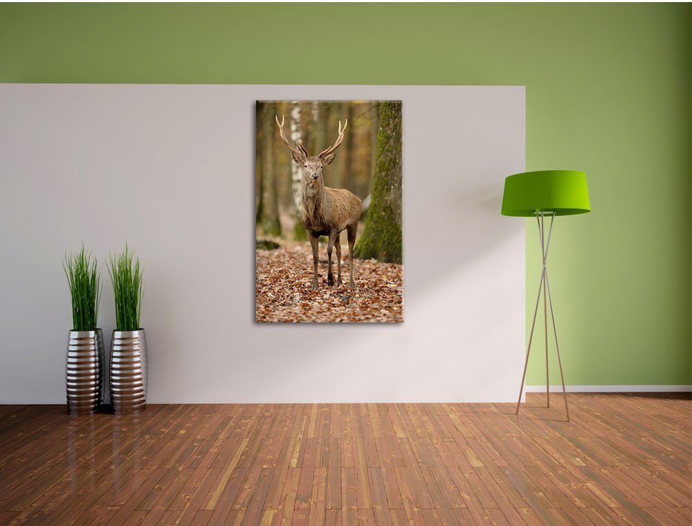 Leinwandbild 'Hirsch Rivalen Kämpfen' – 80x60 Cm, Fertig Auf Keilrahmen Gespannt