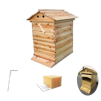 日本蜜蜂用巣箱 Amazon | Sixboy 7PCS 蜜蜂巣箱 ミツバチ 巣箱 蜂 巣箱 蜂の巣